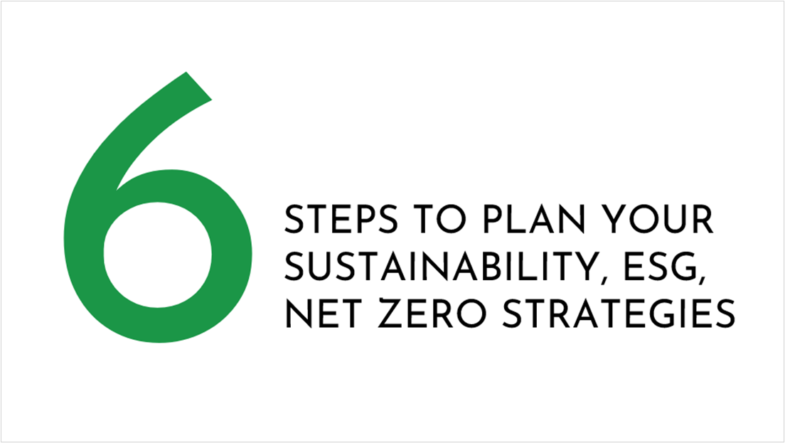 6 steps to plan your Sustainability, ESG, Net Zero Strategies